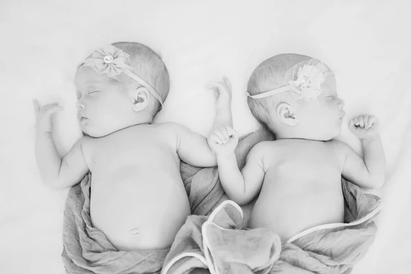 Gêmeos recém-nascidos adoráveis — Fotografia de Stock