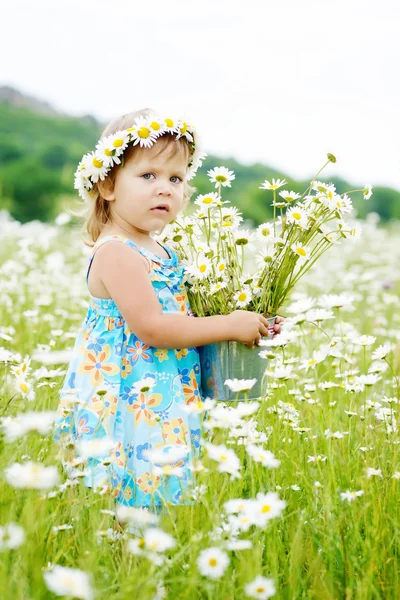 Fille dans le champ — Photo