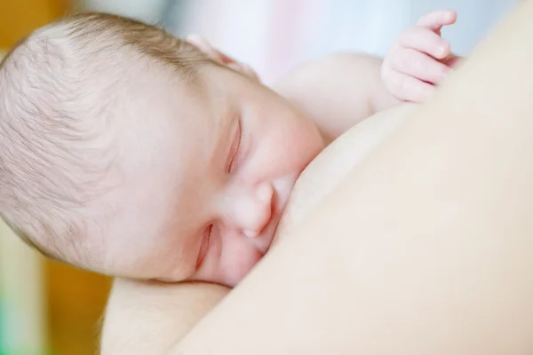 Moeder is het voeden van pasgeboren — Stockfoto