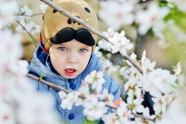 Маленький хлопчик у весняний час — стокове фото