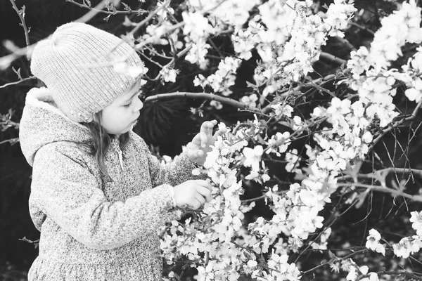 Маленькая девочка в весеннее время — стоковое фото