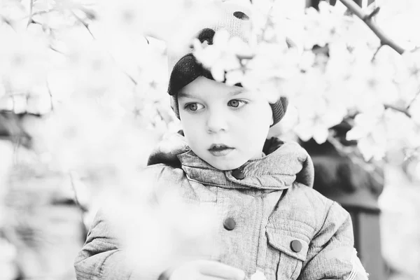 Peuter jongen in het voorjaar — Stockfoto
