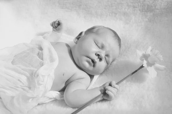 Newborn with flower — Stock Photo, Image