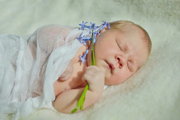 Söta lilla nyfödda — Stockfoto