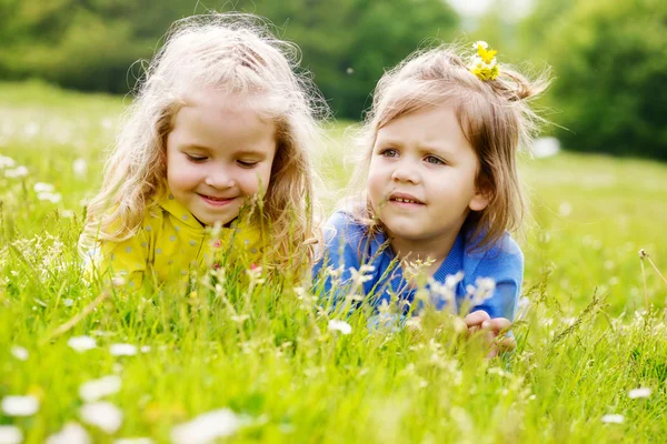 Girls on the meadow — Stock Photo, Image