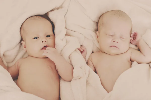 Two sweet twins — Stock Photo, Image