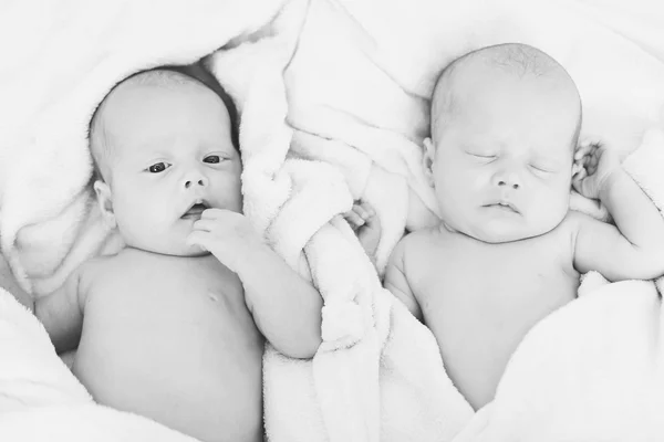 Two sweet twins — Stock Photo, Image