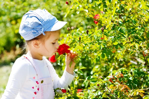 Little girl  smelling rose — Stock Photo, Image