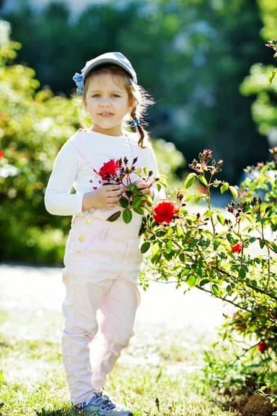 Meisje in de buurt van rozenstruik — Stockfoto