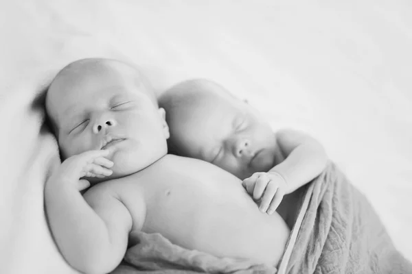 Doi gemeni dulci — Fotografie, imagine de stoc