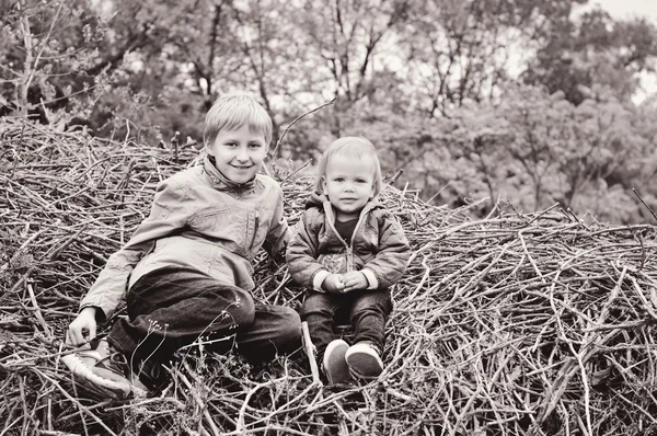 Bruder Und Kleine Schwester Auf Dem Wald Fal — Stockfoto