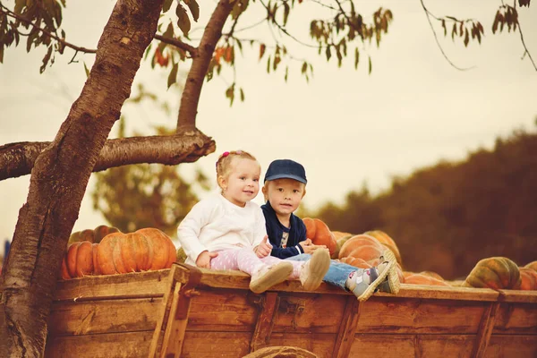 两个孩子坐在农场的皮普金斯附近 — 图库照片