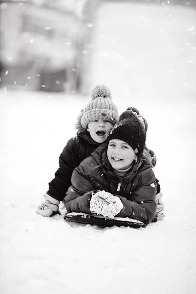 Glad Bror Och Syster Leker Snön — Stockfoto