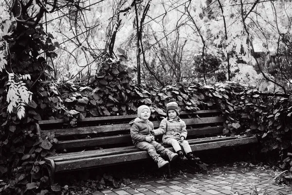 两个笑着快乐的小朋友 男孩和女孩坐在长椅上 免版税图库图片