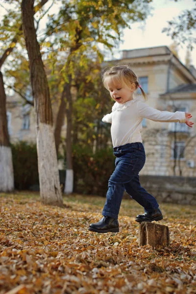 Fröhliche Kleinkind Mädchen Hat Spaß Herbst Park — Stockfoto