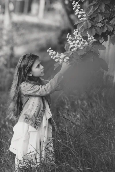 Schattig Klein Meisje Bij Bloeiende Kastanjeboom Een Prachtige Lentedag — Stockfoto