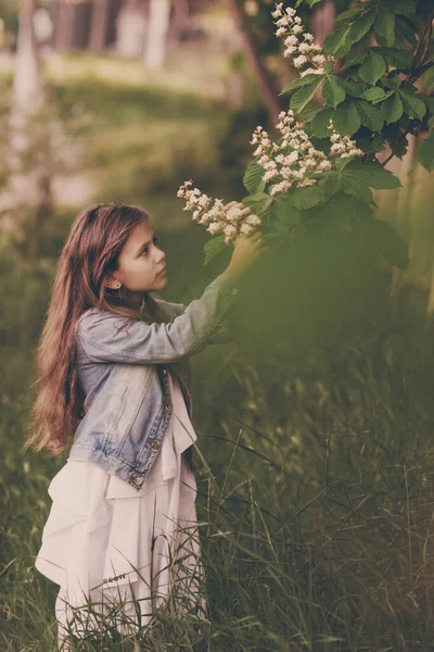 Menina Adorável Perto Árvore Castanha Florescente Belo Dia Primavera — Fotografia de Stock