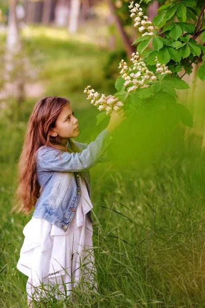 Menina Adorável Perto Árvore Castanha Florescente Belo Dia Primavera — Fotografia de Stock