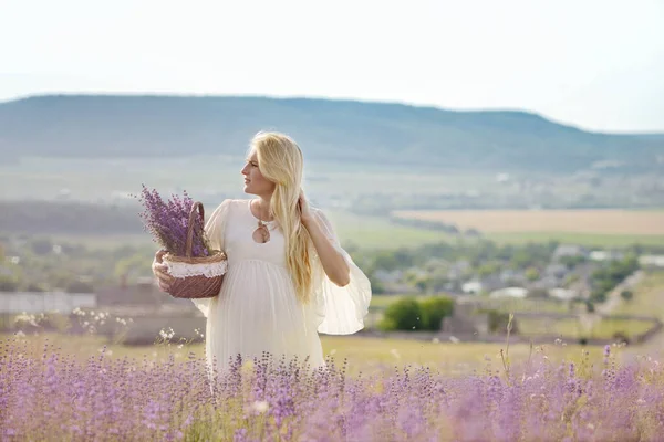 Long Haired Pretty Pregnant Woman Lavender Field Stock Photo