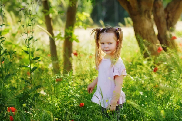 Divertida Niña Prado Verano Fotos de stock libres de derechos