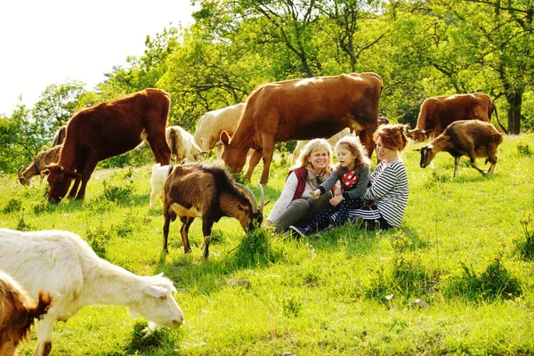 Familie Sitzt Auf Der Wiese Mit Kühen Und Ziegen — Stockfoto