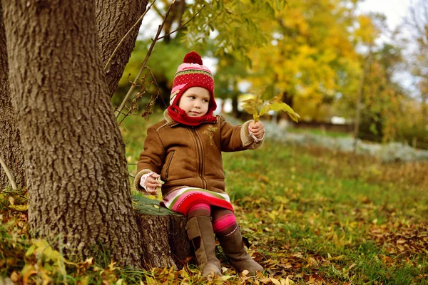 Autunno è sentire — Foto Stock