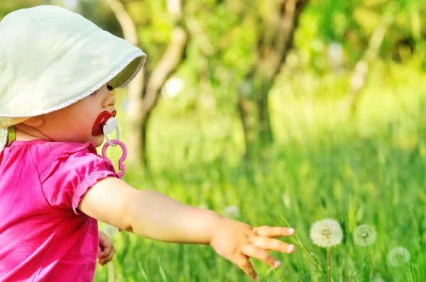 Baby und Löwenzahn — Stockfoto