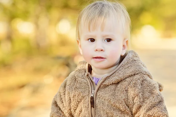 Child in fall — Stock Photo, Image