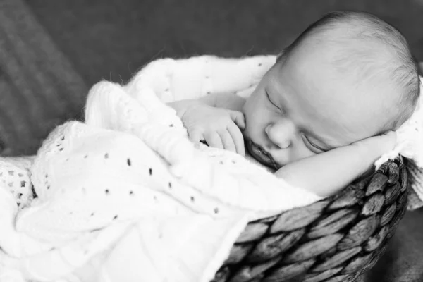 Baby in basket — Stock Photo, Image