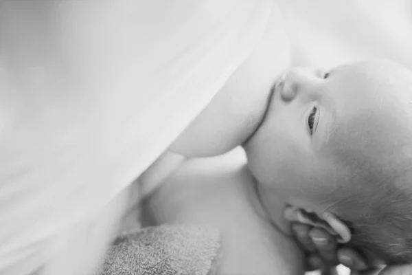 Karmienie noworodka — Zdjęcie stockowe