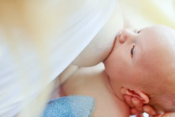Кормление новорожденных — стоковое фото