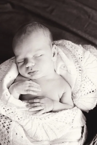 Sweet newborn — Stock Photo, Image