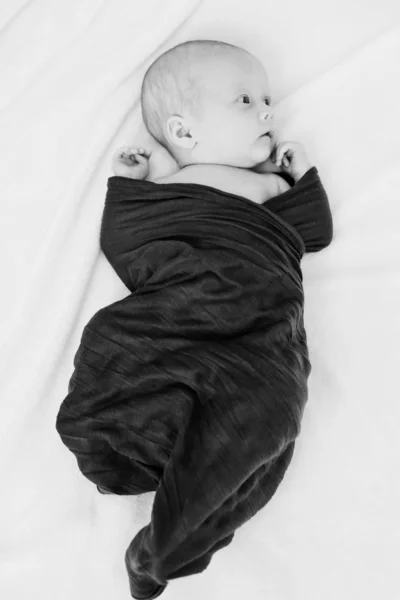 Yeni doğan — Stok fotoğraf