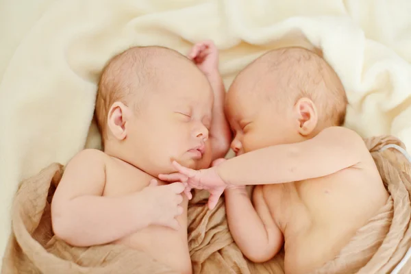 Sweet twins — Stock Photo, Image