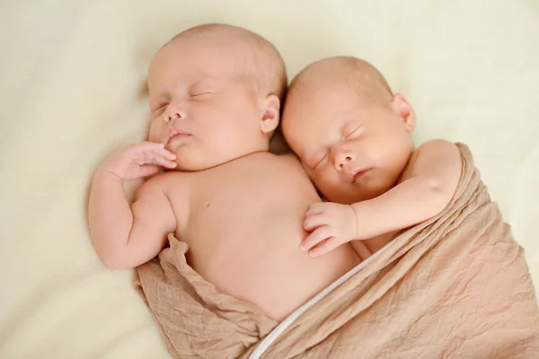 甜双胞胎 — 图库照片