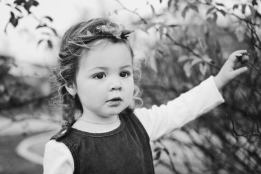 sonbaharda tatlı yürümeye başlayan çocuk