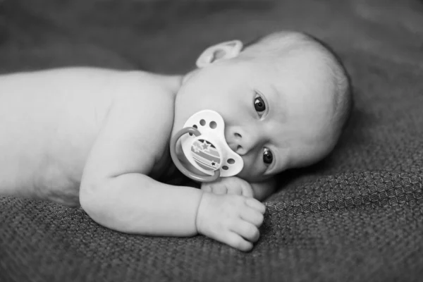Newborn with dummy — Stock Photo, Image
