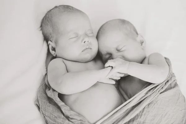 Uyuyan İkizler — Stok fotoğraf