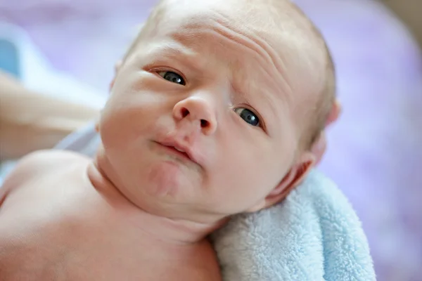 Funny newborn — Stock Photo, Image