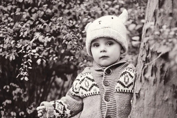 Pojke i höst skog — Stockfoto