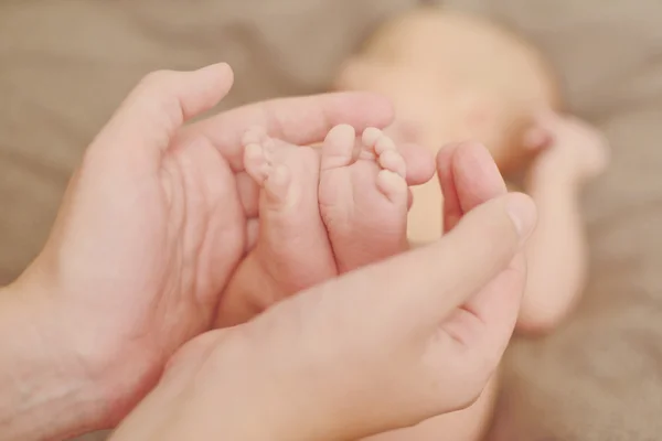 Foots in  hands — Stock Photo, Image