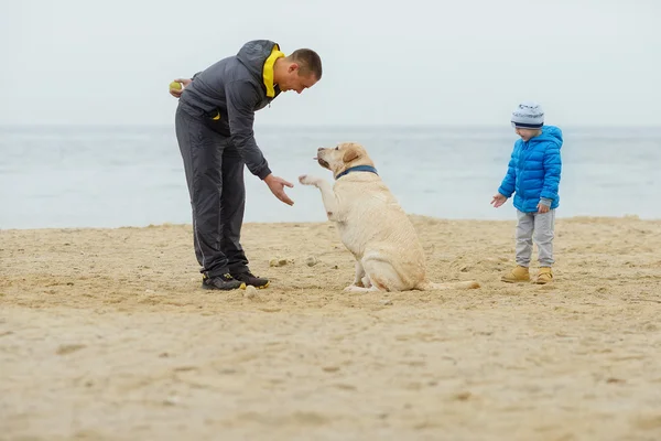 Семья с собакой на пляже — стоковое фото