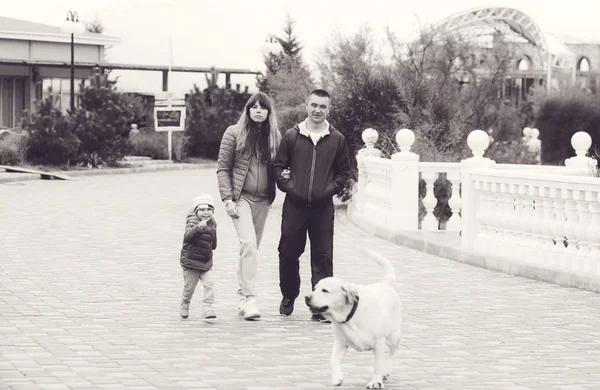 Οικογένεια περπάτημα με το σκύλο — Φωτογραφία Αρχείου