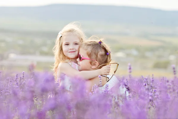 Two happy girls in field — Stock Photo, Image