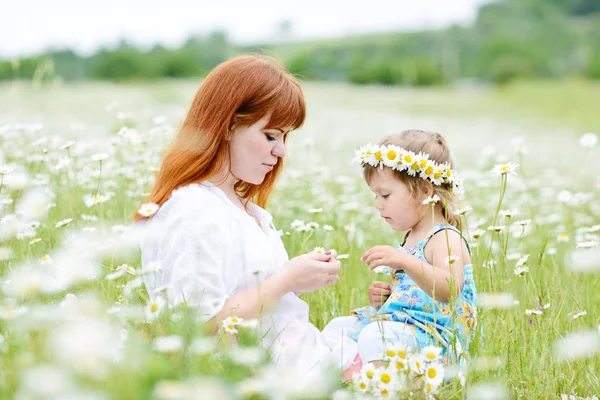 Fun in field of daisies — Stock Photo, Image