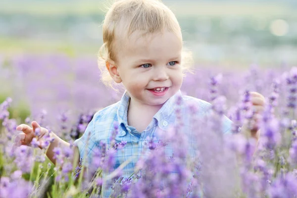 Pojke i fältet — Stockfoto