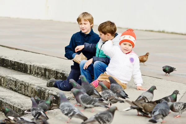 Kinderen voeden van de duiven — Stockfoto