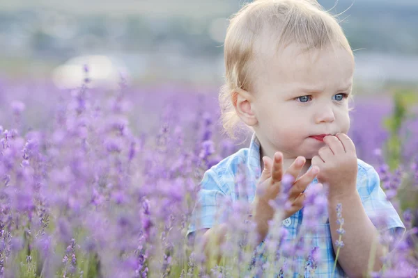 Bébé garçon dans le champ — Photo