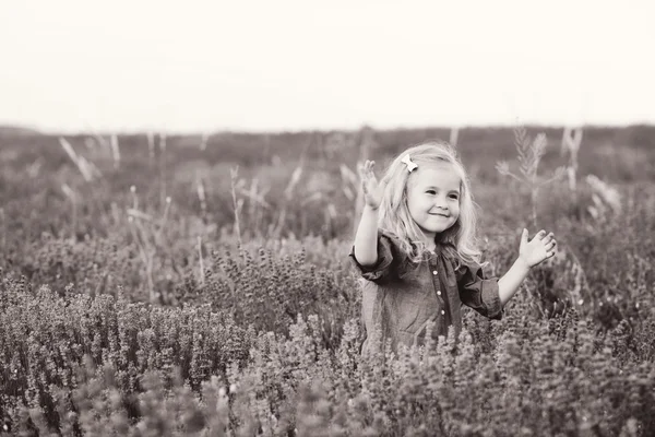 Šťastná dívka v poli levandule — Stock fotografie