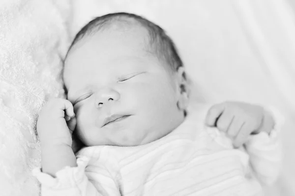 Newborn — Stock Photo, Image